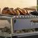 imageUrl_7