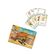imageUrl_4