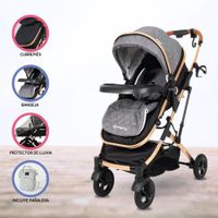 Coche Deportivo Moisés para Bebé »EVO» Gris