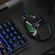 imageUrl_2