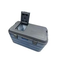 THERMOS® COOLER AZUL/GRIS 39L - 70049336