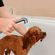 imageUrl_4