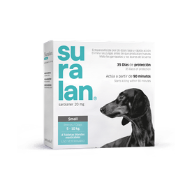 image-456a3d944ef54e4bbd36984ff0ef1958