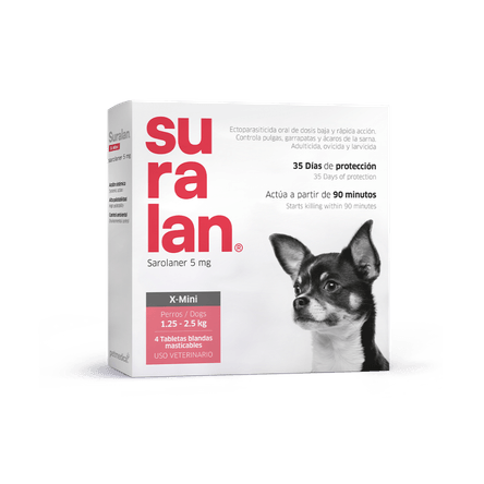 image-2c3d0a19607d46348d85e07f55a16191