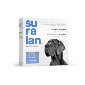 image-7a9a07c80b0040598eec89a68454b59e