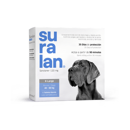 image-7a9a07c80b0040598eec89a68454b59e