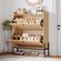 imageUrl_2