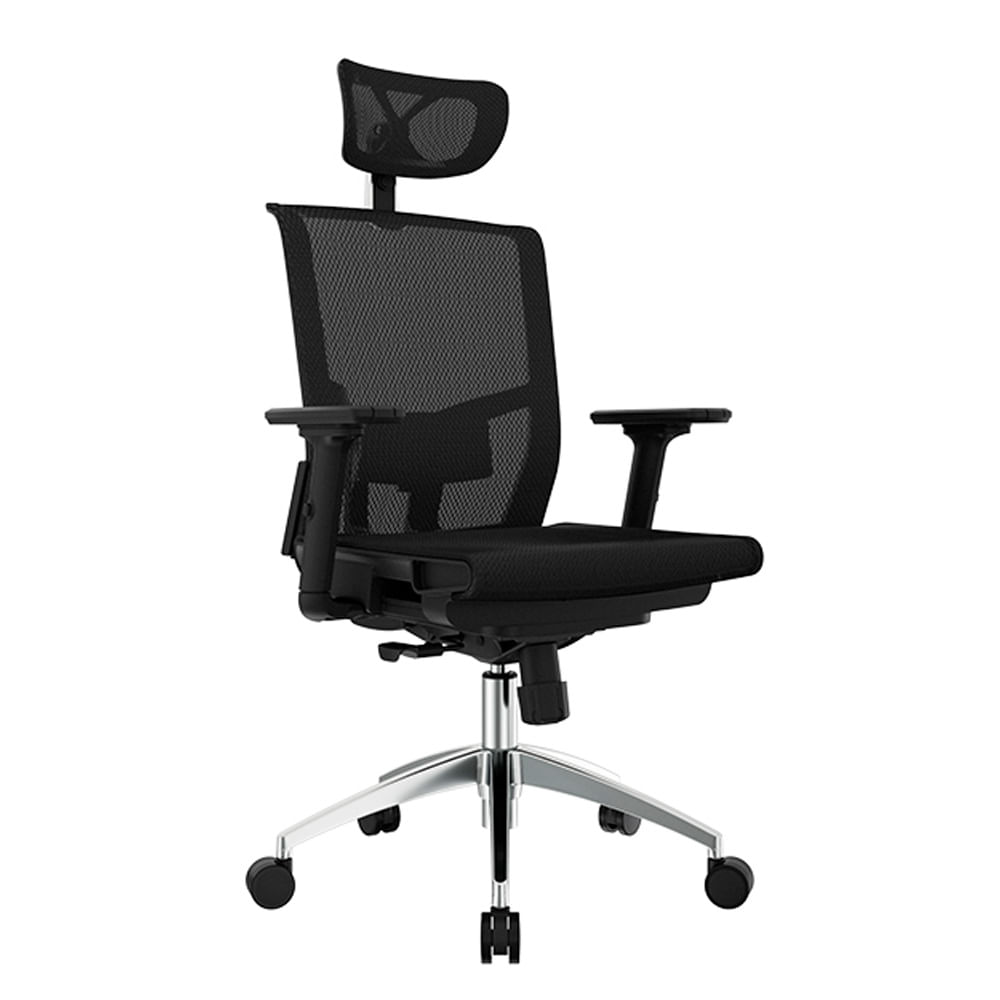 Silla Ergonómica Delphi Mesh Pro Premium Presidente Ofideas