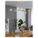 imageUrl_5