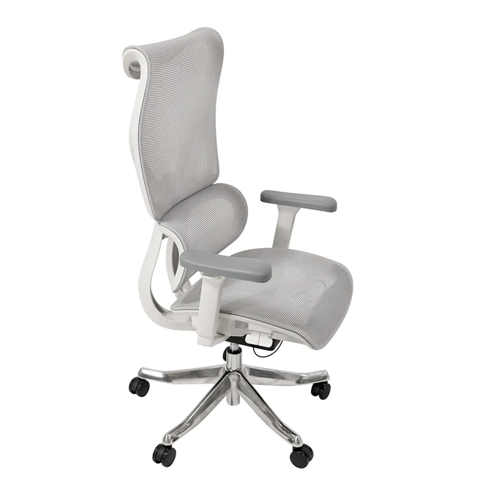 Silla Ergonómica Reclinable Flex Brazo 3D. Gris Ofideas