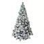 imageUrl_1