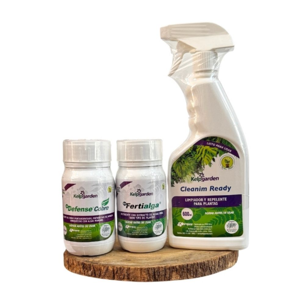 Pack Cuidado Completo para Ficus Lirata Green Supply