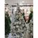 imageUrl_3