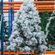 imageUrl_1