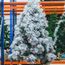 imageUrl_1