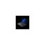 imageUrl_1