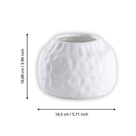 image-e8d023ddd0964634a361eb679c5307c3