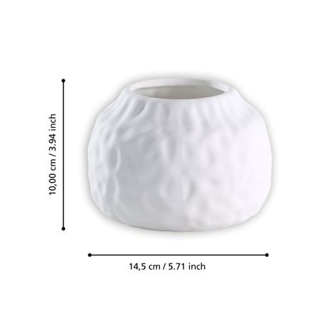 image-e8d023ddd0964634a361eb679c5307c3 image-e8d023ddd0964634a361eb679c5307c3