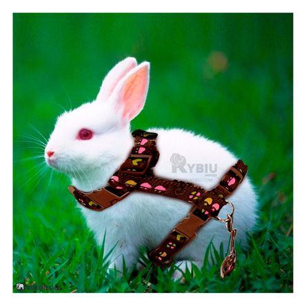 Arnes Delgado para Conejos y Gatos en Color Marron Arnes Delgado para Conejos y Gatos en Color Marron