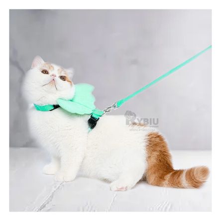 Arnes de Paseo para Gatitos en Tono Turquesa Y+Stickers