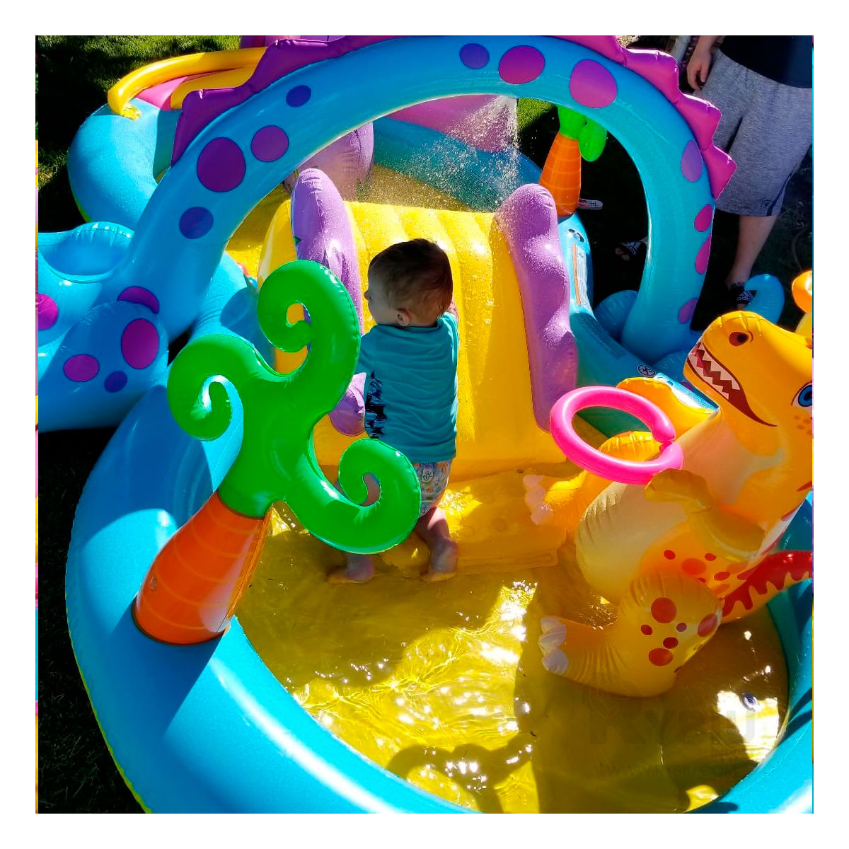 Centro de Juego Infable Dinosaurios en Multicolor Y+Stickers