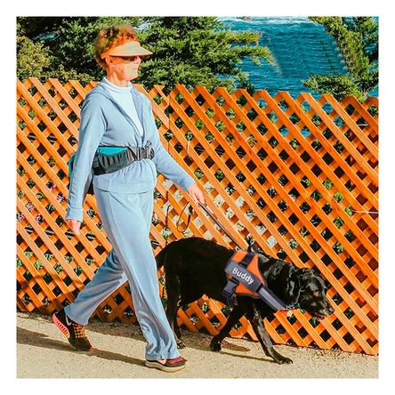 Arnes Pechera Service Dog Talla L de Color Anaranjado Arnes Pechera Service Dog Talla L de Color Anaranjado