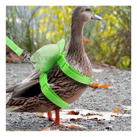 Arnes Practico para Gatos Color Verde Y+Agendita