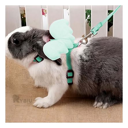 Arnes Practico para Gatos Tonalidad Turquesa Y+Agendita Arnes Practico para Gatos Tonalidad Turquesa Y+Agendita