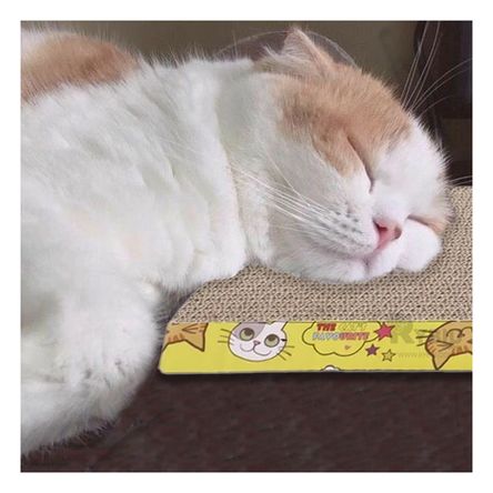 Rascador Bonito y Sofisticado en Carton Y+Stickers Rascador Bonito y Sofisticado en Carton Y+Stickers