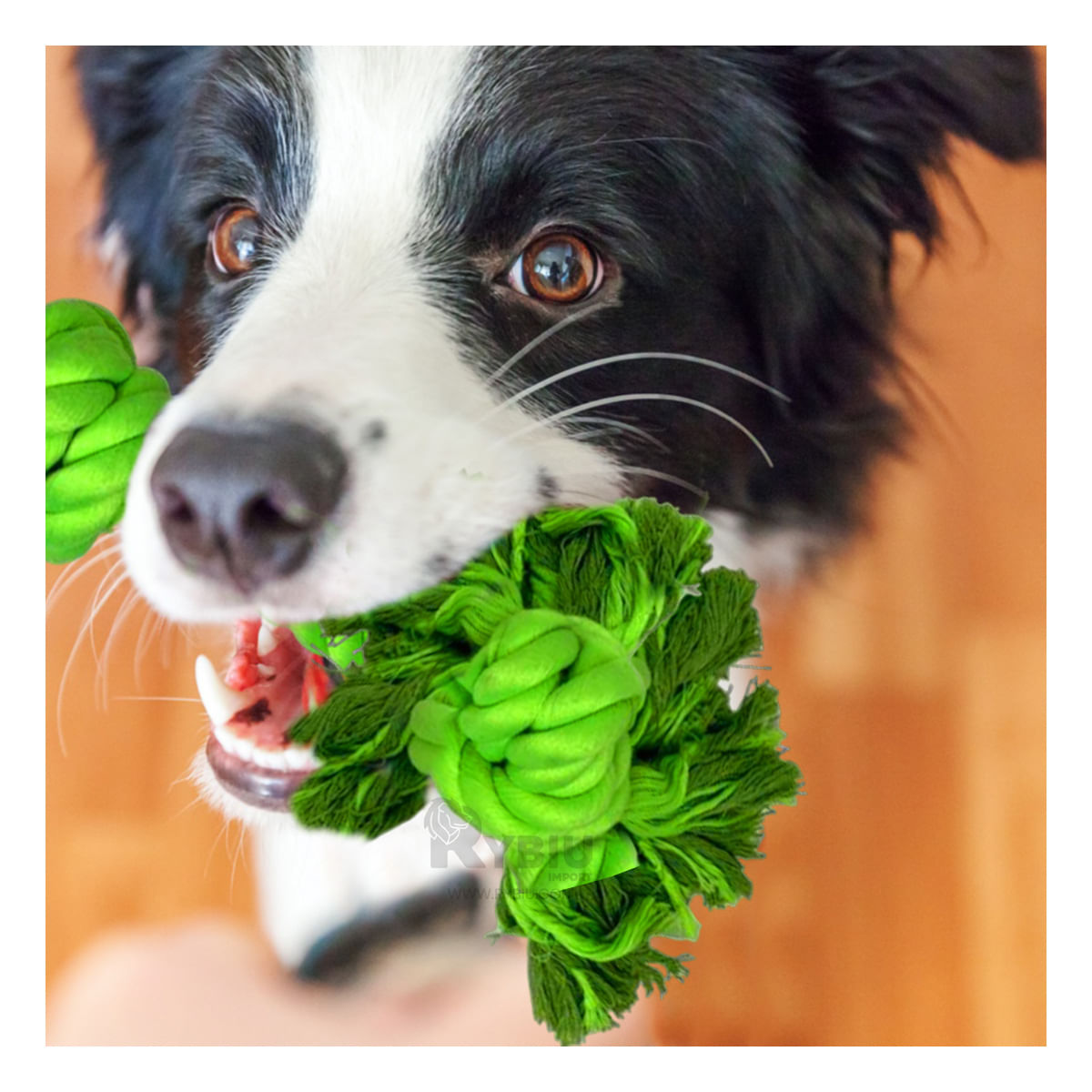 Soga Pet para Disfrutar Caminata Tono Verde Limon Y+Agendita