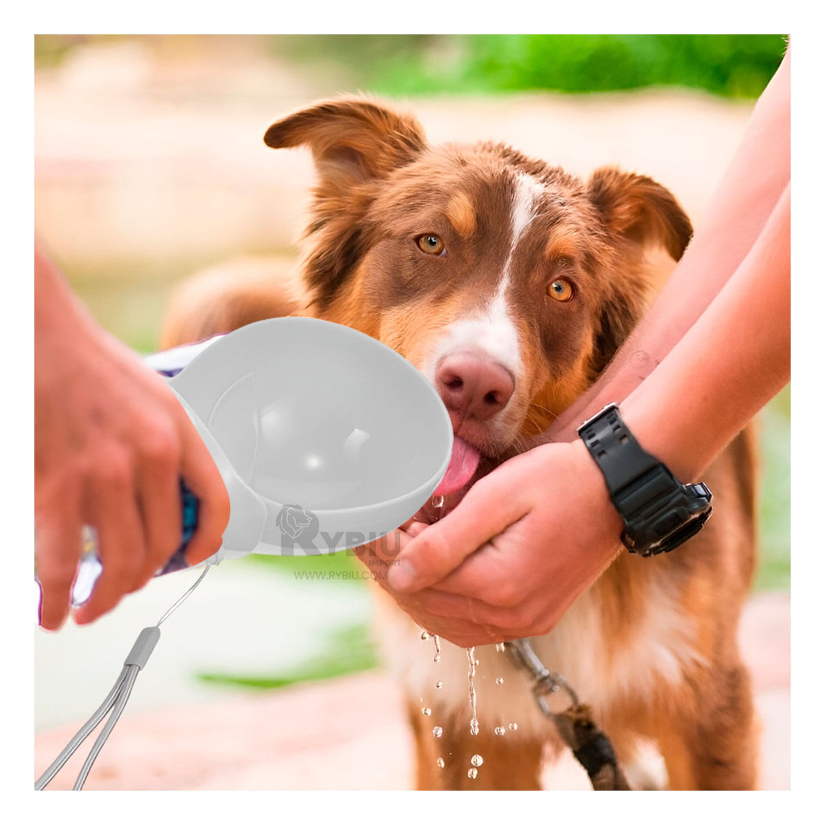 Dispensador de Agua en Tono Plomo Y+Stickers