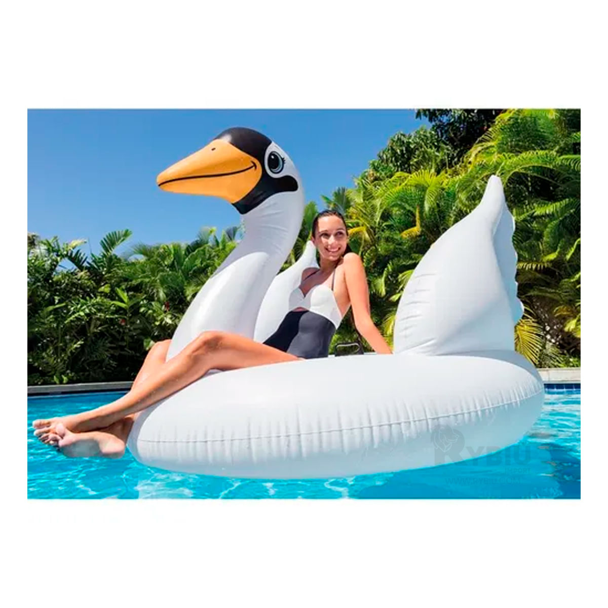 Flotador Modelo de Cisne Blanco Y+Agendita