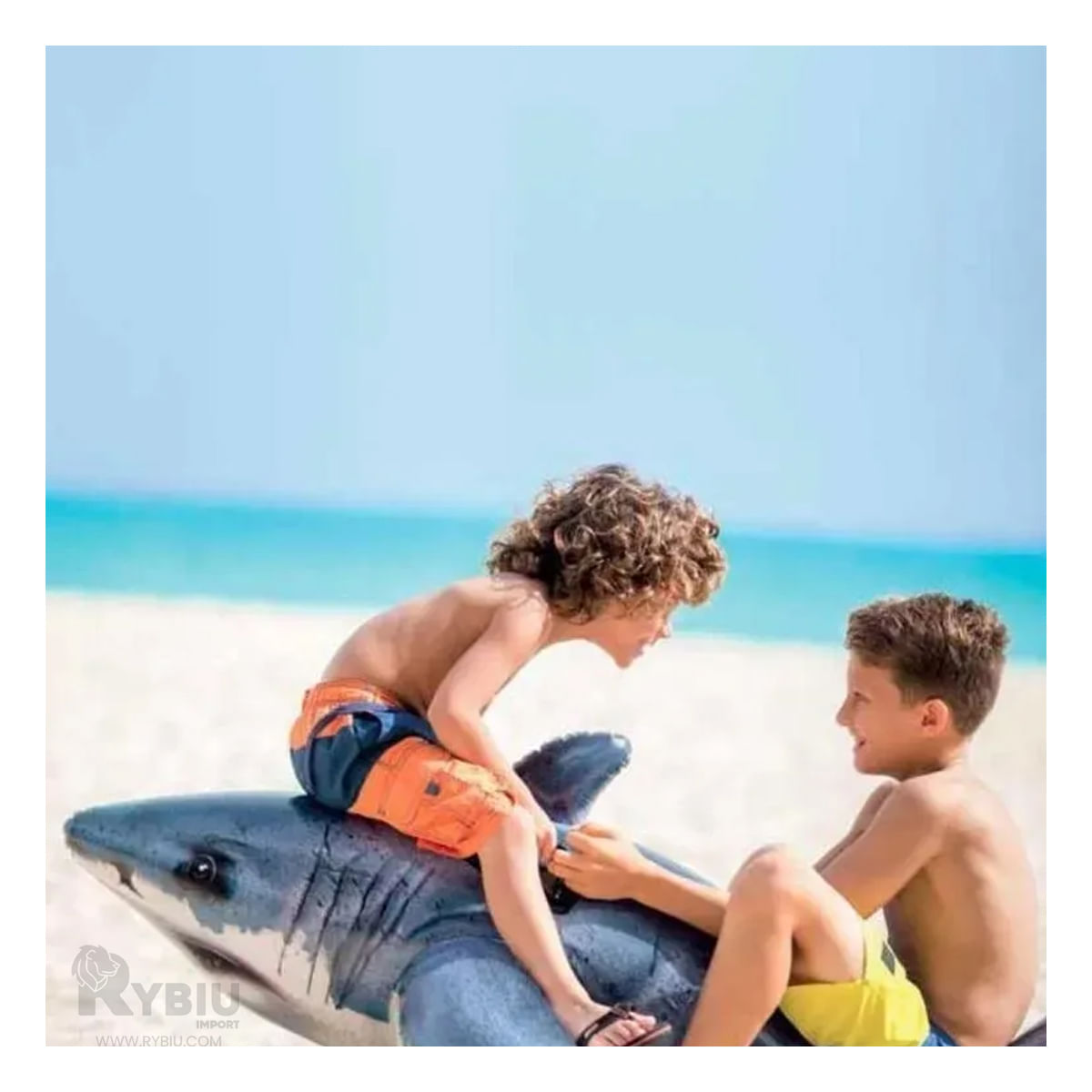 Flotador en Forma de Tiburon en Multicolor