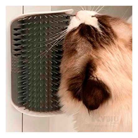 Rascador Ergonomico y Util en Color Gris Y+Agendita Rascador Ergonomico y Util en Color Gris Y+Agendita