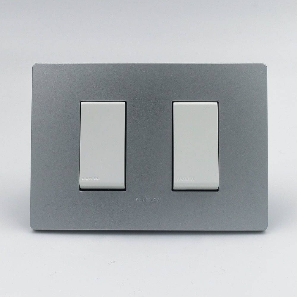 INTERRUPTOR DOBLE SINTHESI S33 PLACA PLATA Y DADOS BLANCOS