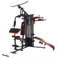 Máquina Home Gym P700 Pro 65 kg