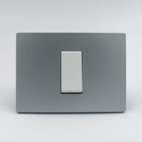 INTERRUPTOR SIMPLE SINTHESI S33 PLACA PLATA Y DADO BLANCO