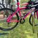 imageUrl_4