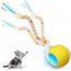 imageUrl_1