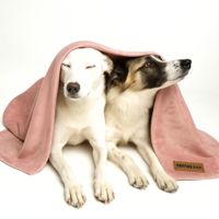 Manta Abrigadora Reversible Felpa para Mascotas XL Palo Rosa