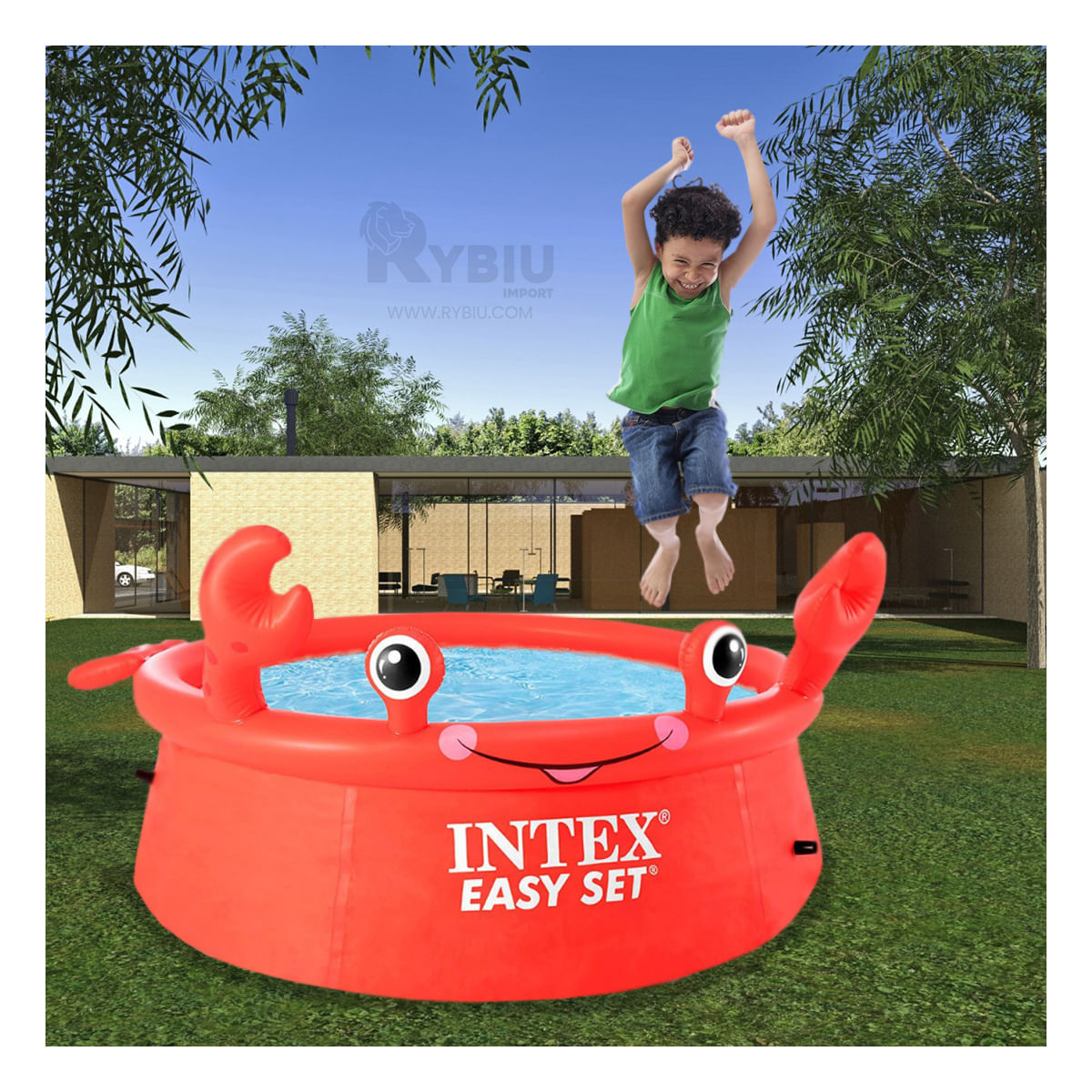 Piscina Minimalista y Util de Cangrejo Y+Papel de Regalo