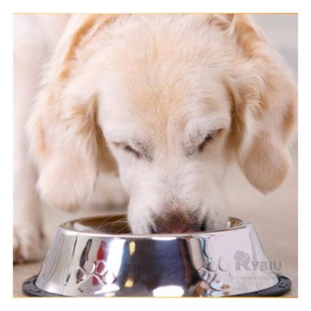 Plato Pet para Alimentos Secos Talla XXXL Y+Agendita