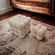 imageUrl_2