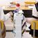 imageUrl_4