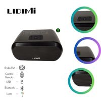 Parlante portatil  lidimi LD-S010 Bluetooth Recargable