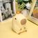 imageUrl_5