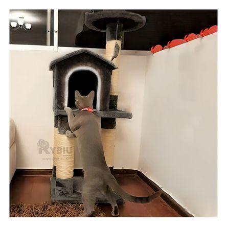 Gym Resistente Cat 3 para Piso Tono Negro Y+Papel de Regalo