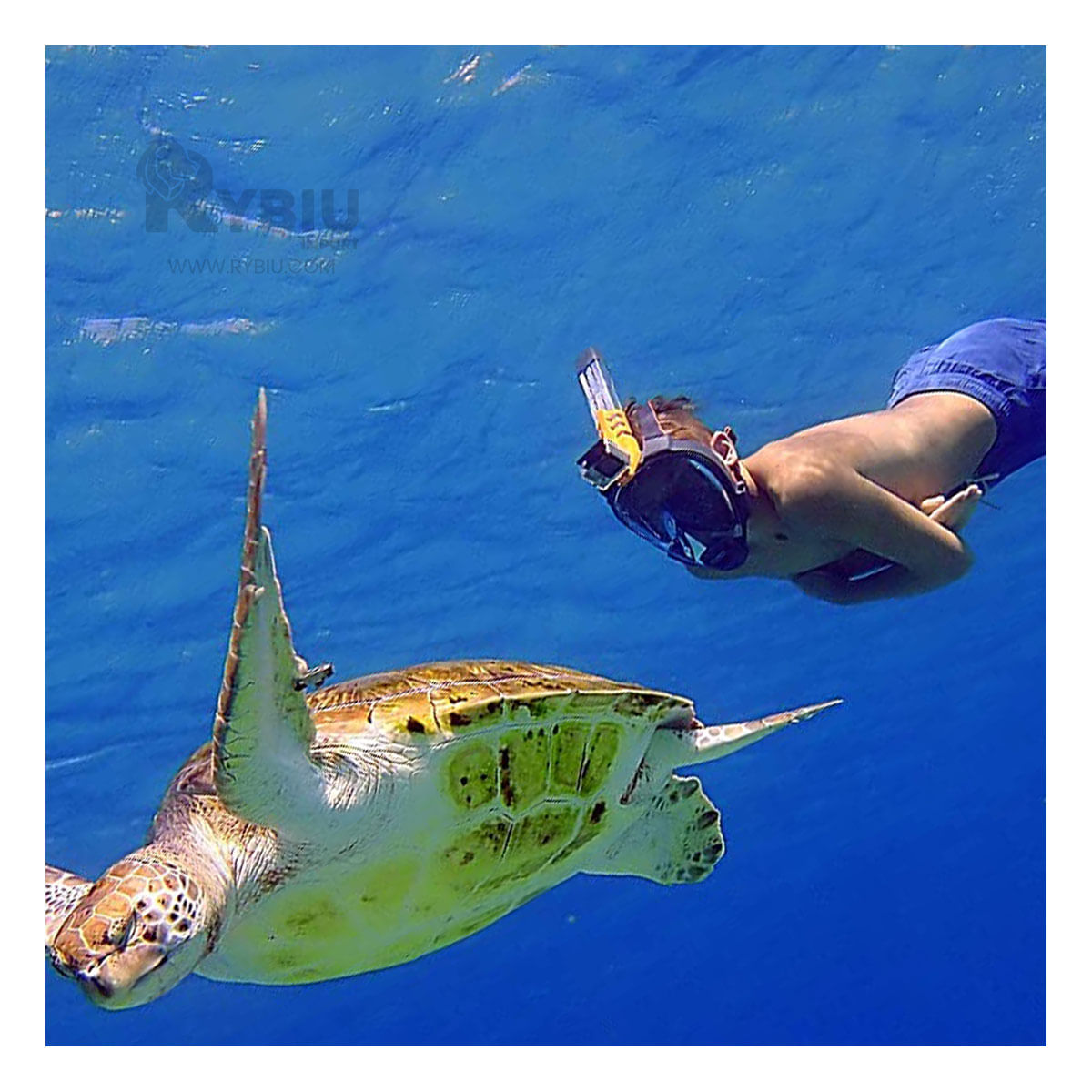 Mascara Principiantes con Correa Negro Y+Papel de Regalo