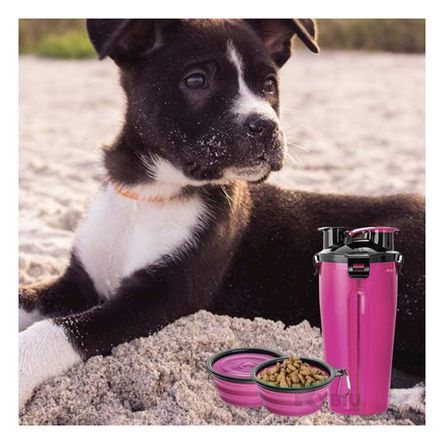 Bebedero Funcional de Mascotas Rosado Y+Papel de Regalo