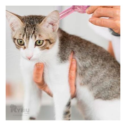 Pipeta de Proteccion para Felino en Rosado Y+Agendita Pipeta de Proteccion para Felino en Rosado Y+Agendita